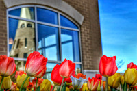 Campus Spring_206.NEF